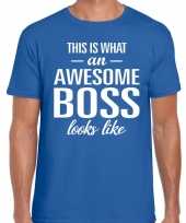 Awesome boss tekst t-shirt blauw heren