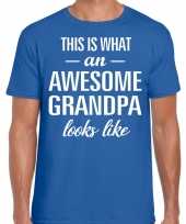 Awesome grandpa opa cadeau t-shirt blauw heren vaderdag