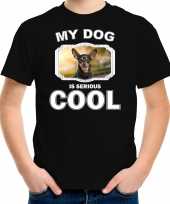 Dwergpinscher honden t-shirt my dog is serious cool zwart kinderen 10256725