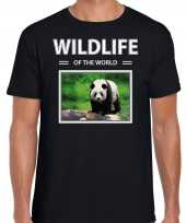 Panda t-shirt dieren foto wildlife of the world zwart heren